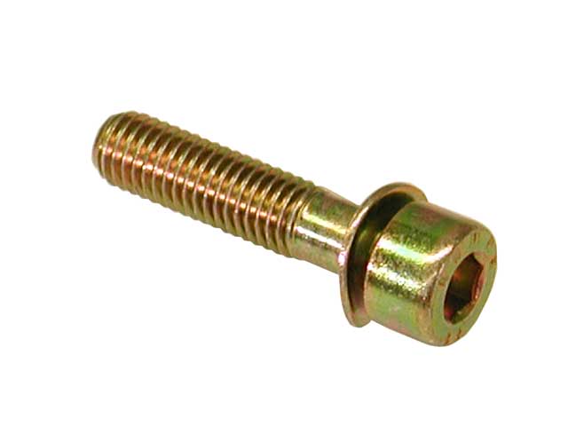Camshaft Housing Bolt