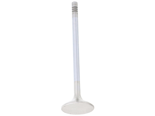 Exhaust Valve