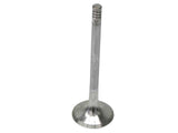 Exhaust Valve  -  Intervalves 2901.036