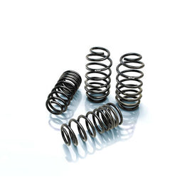Pro Kit 11-14 Dodge Challenger - Eibach Springs 2895.140
