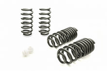 Load image into Gallery viewer, Eibach Coil Spring Lowering Kit