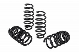 Pro-Kit Tesla 17-20 Long Range RWD (4 Springs) - Eibach Springs E10-87-001-01-22