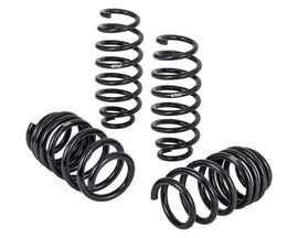 Pro-Kit Tesla 17-20 Long Range AWD (4 Springs) - Eibach Springs E10-87-001-02-22