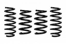 PROKIT 20-22 TESLA MODEL Y PERF SPRINGS SET OF 4 - Eibach Springs E10-87-002-01-22