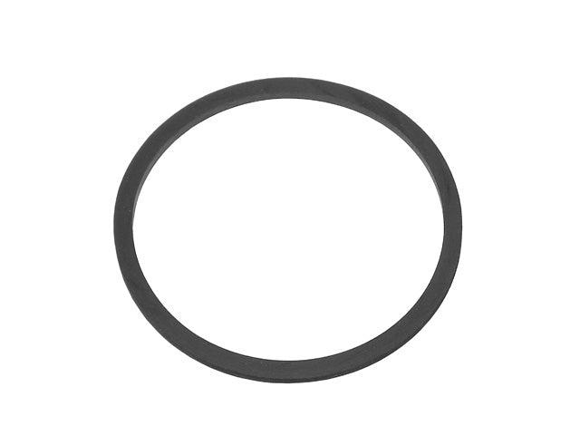 Thermostat O-Ring