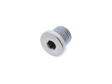Load image into Gallery viewer, Engine Oil Drain Plug