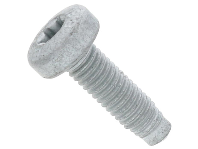 Torx Head Bolt