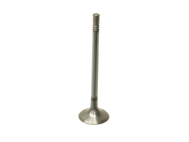 Intake Valve