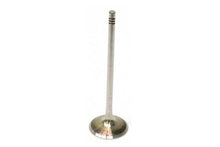 Load image into Gallery viewer, Intake Valve