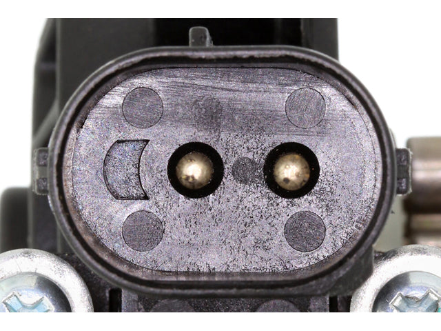 Window Motor