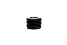 Load image into Gallery viewer, 3/8 Inch NPT Hex Socket Plug Black Fleece Performance