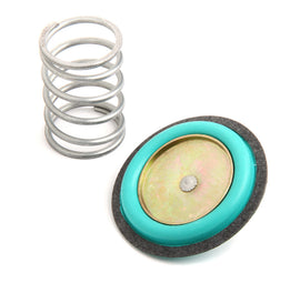 Rebuild Kit for 12-843 Regulator - Holley 12-824