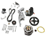 Low-Mount LS Drive System (Alt, P/S w/o A/C) Driver's Side  -  Holley 20-156