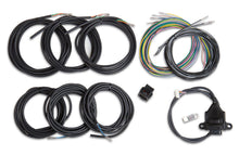 Load image into Gallery viewer, Wiring Harness - EFI Digital Dash I/O Adapter - Holley 558-433