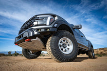 Load image into Gallery viewer, IVD_G3-Raptor_LS03_web-large.jpg