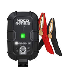 Load image into Gallery viewer, NOCGENIUS1.jpg
