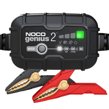 Load image into Gallery viewer, NOCGENIUS2.jpg