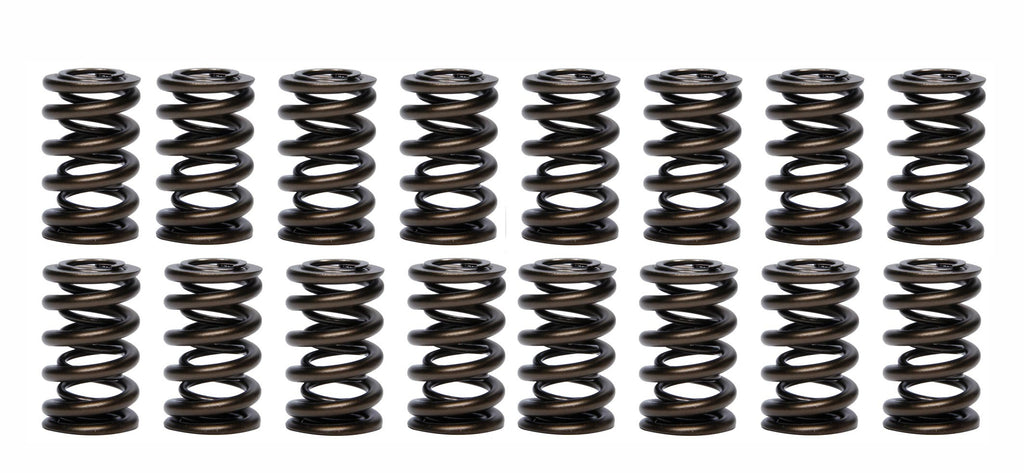 1.260 Dual Valve Springs - PAC Racing Springs PAC-1203-16