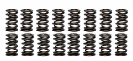 1.260 Dual Valve Springs - PAC Racing Springs PAC-1203-16
