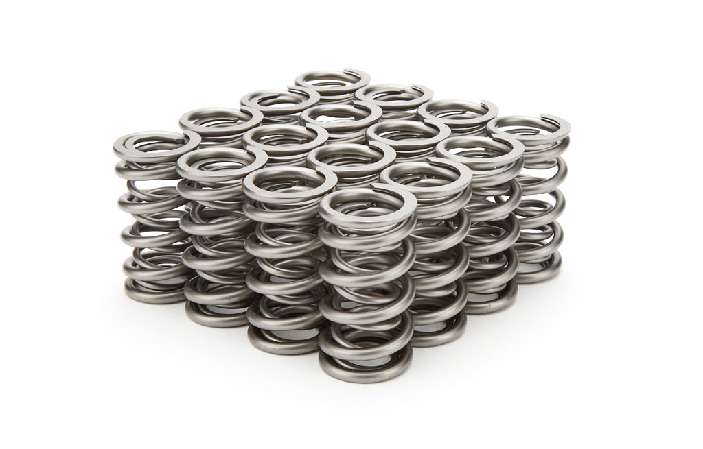 1.290 Dual Valve Springs - RPM Series (16) - PAC Racing Springs PAC-1204X