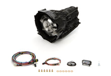 Load image into Gallery viewer, PAMPASS68105.jpg