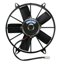 Load image into Gallery viewer, PRM19111.jpg