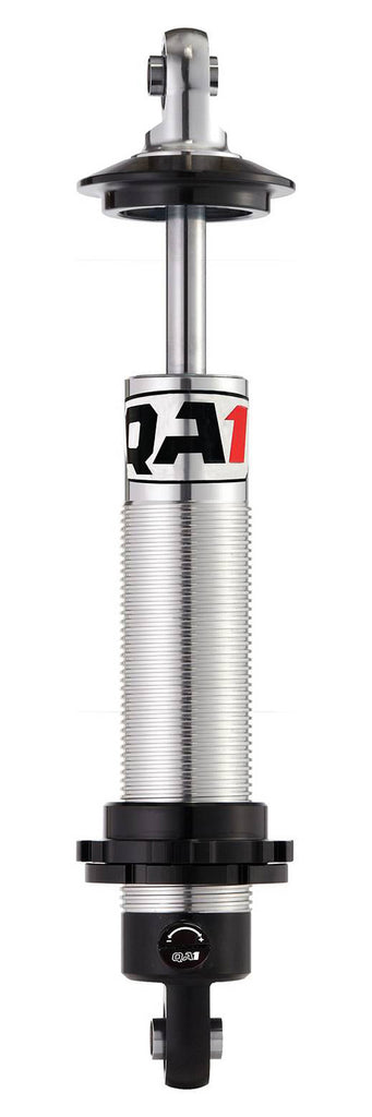 QA1DS601.jpg