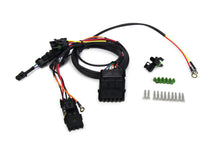 Load image into Gallery viewer, QRP50-2033.jpg