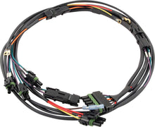 Load image into Gallery viewer, QRP50-2034.jpg
