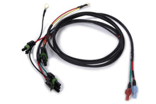Load image into Gallery viewer, QRP50-2039.jpg