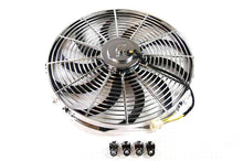 Load image into Gallery viewer, RPCR1207.jpg