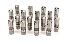 Load image into Gallery viewer, Hydraulic Roller Lifter - Sealed Power SEAHT2148-16