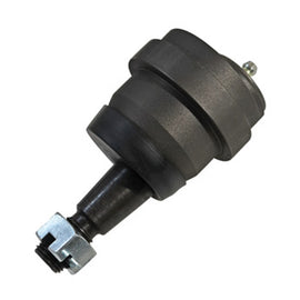 SPP23530.jpg