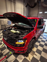 Load image into Gallery viewer, WTNK9903.JPG