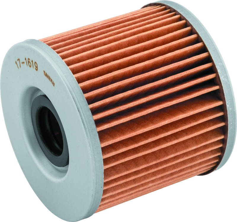 BikeMaster Suzuki BM-133 Oil Filter - Black BKM171619