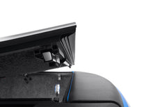 Load image into Gallery viewer, Photo - Close Up