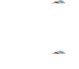 BikeMaster Yamaha BM-140 Oil Filter - Black BKM171639