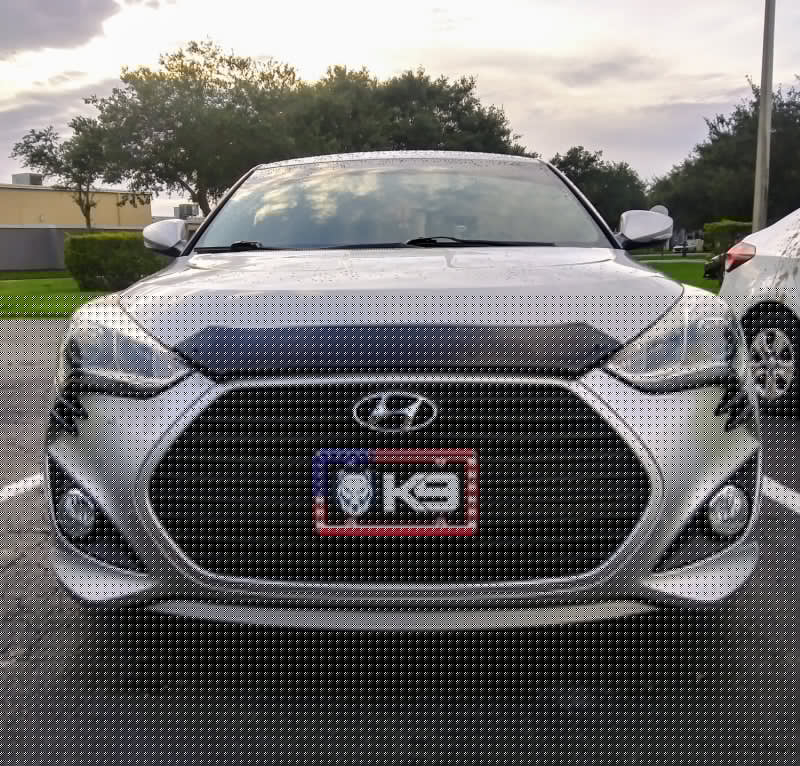 EGR 12+ Hyundai Veloster Superguard Hood Shield (308271) EGR308271