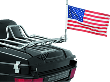 Load image into Gallery viewer, Photo - Primary