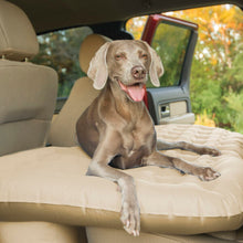 Load image into Gallery viewer, carmat-tan-with-dog.jpg