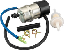 Load image into Gallery viewer, Photo - Primary