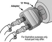Load image into Gallery viewer, 15715-Illustration.jpg
