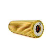 Load image into Gallery viewer, IAG-MNT-F1010-04.jpg