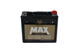 Twin Power GYZ-20HL Premium MAX Battery Replaces H-D 65989-97A Made in USA 320 CCA