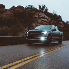 Load image into Gallery viewer, Photo - Mounted