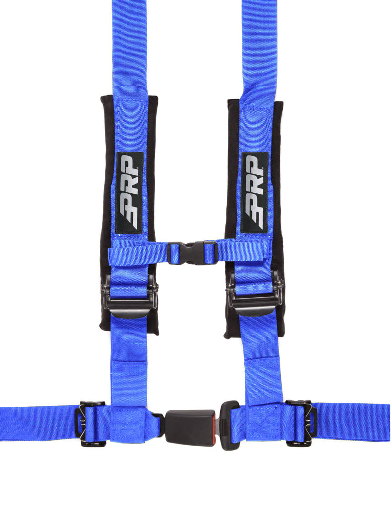 PRP 4.2 Harness- Blue PRPSBAUTO2B
