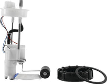 Load image into Gallery viewer, Photo - Primary