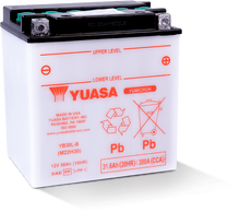 Load image into Gallery viewer, Yuasa YB30L-B Yumicron CX 12-Volt Battery YSAYUAM22H30TWN
