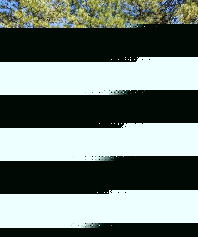 KC HiLiTES 6in. Hard Cover for Gravity Pro6 LED Lights (Single) - Smiley Face- Yellow/Black KC Logo KCL5114