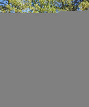 Load image into Gallery viewer, KC HiLiTES 6in. Hard Cover for Gravity Pro6 LED Lights (Single) - Smiley Face- Yellow/Black KC Logo KCL5114